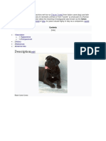 Cane Corso PDF