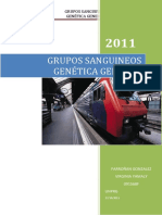 Informe de Grupos Sanguineos