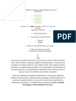 Cómo Combatir Las Plagas y Enfermedades de La Yuca