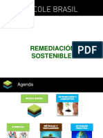 Remediacion Sostenible.pdf