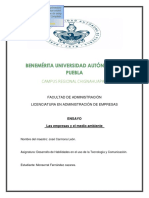 ensayo-final-150702141512-lva1-app6891.pdf