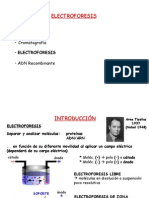 Electroforesis: Separación de moléculas por campo eléctrico