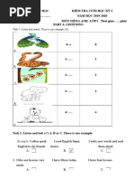 TIMO-Final-2019-l P 6 | PDF | Area | Fraction (Mathematics)