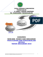 RBA-RKT PPI RSUD SOEDOMO Tahun 2019