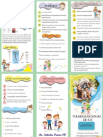 Leaflet Iud PDF