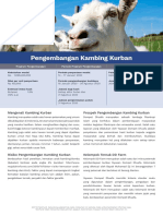 Prospectus PDF