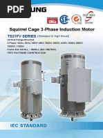 3-Phase Induction Motor