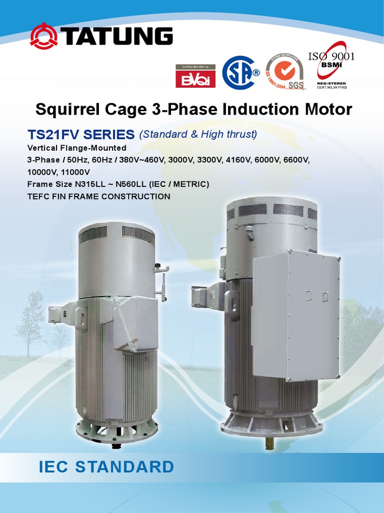 Squirrel Cage 3 Phase Induction Motor Specifications Pdf Electric