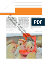 Chicken Nutrition A Guide For Nutritionists