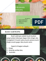 Buah Subtropis