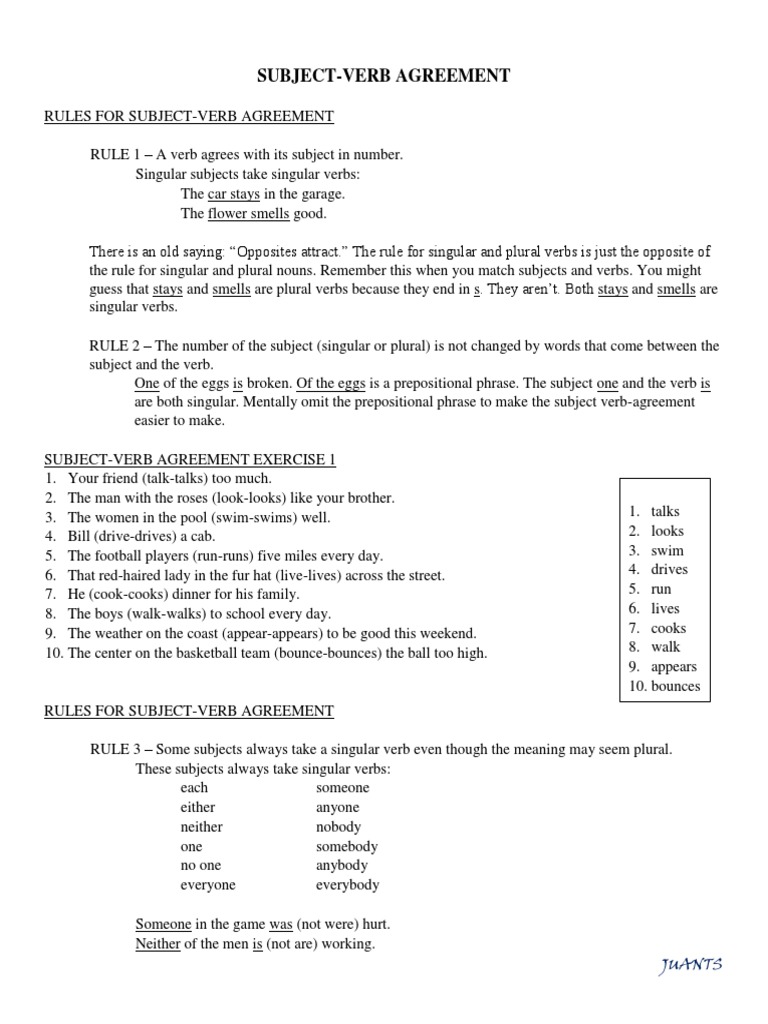 Ept Reviewer Ii Docx Grammatical Number Verb