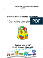 Proiect de Dupa Amiaza SCOALA Modificat1