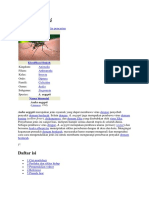 Aedes aegypti.docx