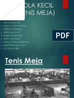 Tenis Meja