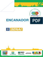 Encanador - Qualidade Seguranca Saude PDF