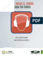 Cuida Tus Oídos PDF