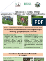 Presentacion Estudio variedades criollas -Foro AE  Obs LC