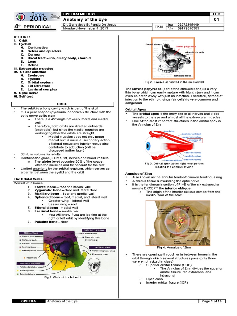 Ophthalmology | PDF | Cornea | Glaucoma