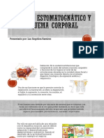 Sistema Estomatognático y Esquema Corporal