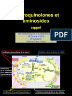 Dr_LAFAURIE_Fluoroquinolones_et_aminosides___2014