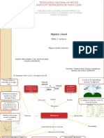 Mapa Mental de Vectores