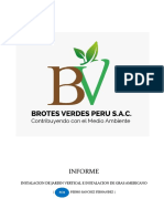 Informe Jardin Vertical - Gras Americano PDF