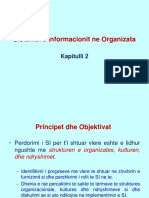 02 SI Ne Organizata