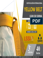 Yellow belt