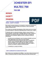 EFI Multec 700 - 1.doc