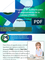 1. Definicion de Metodologia Pamec