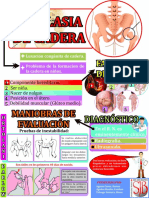 DISPLASIA DE CADERA.PDF