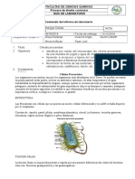 Celulas Procariotas, Biologia Doc General