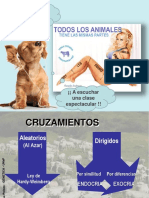 Cosanguinidad y Parentesco - Pps