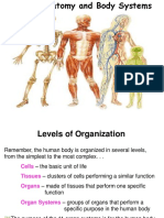 HumanBodySystems PDF