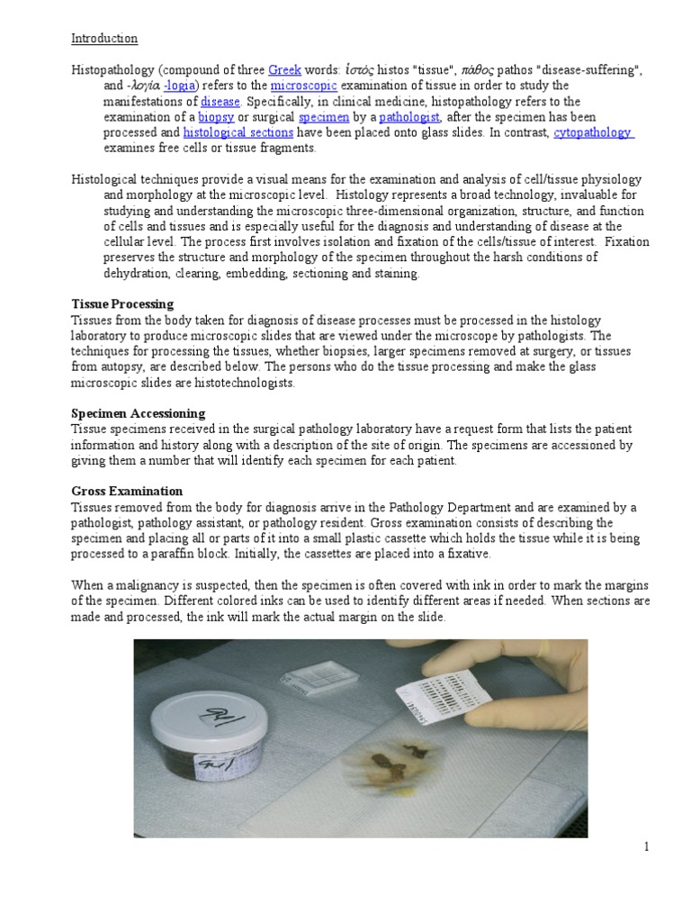 Histology Procedure Histopathology Fixation (Histology)