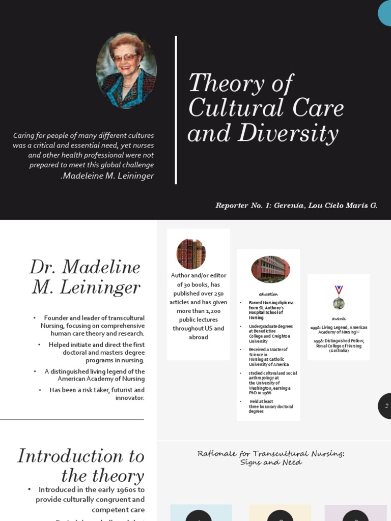 WHAT IS CULTURAL DIVERSITY THEORY visual data 3