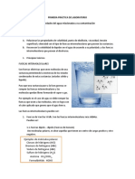 Primera Práctica de Laboratorio de Q Ambiental