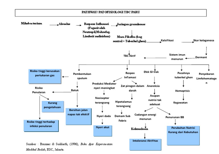 Pathway TB | PDF