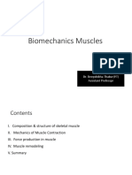 Muscle Biomechanics