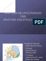 Anatomi Neurocranium