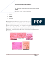 11._tejidos_de_secrecin_externa.pdf