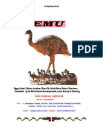 Emu Detail