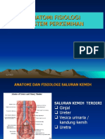 Anfis Perkemihan1