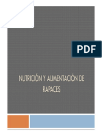 Nutrición y alimentación de rapaces