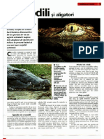 Arborele Lumii - Animale - Crocodili Si Aligatori