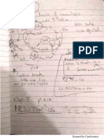 Apuntes Espanoles Organologia PDF