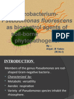 Rhizobacterium-As Biocontrol Agents of Soil-Borne Phytopathogens