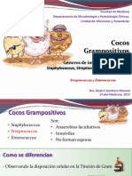 Tema 16 y 17, Estreptococos y Enteroc BQ 2º Año 150317 DEF PDF