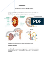 Sistem perkemihan