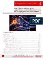 Fundamentos 13 - Velocidad Adaptaciones Neurales.pdf
